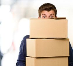 Expert Moving Services Offered in Paddington